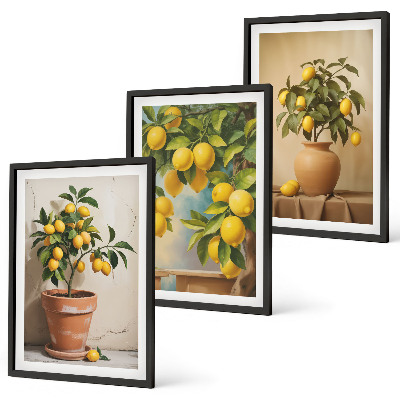 Set tablouri decorative Lămâi într-un ghiveci și o vază
