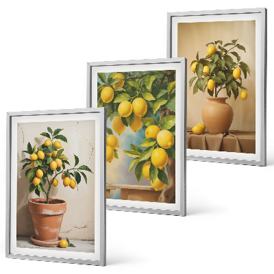 Set tablouri decorative Lămâi într-un ghiveci și o vază