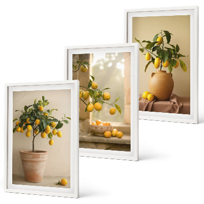 Set tablouri decorative Lămâi în ghivece