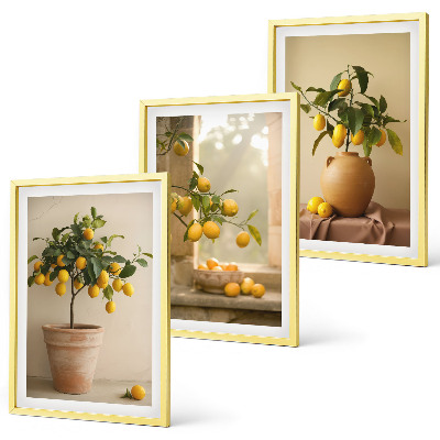 Set tablouri decorative Lămâi în ghivece