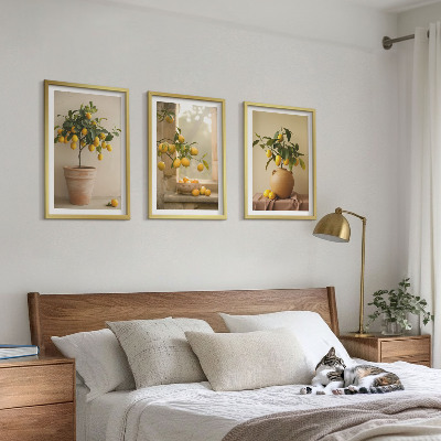 Set tablouri decorative Lămâi în ghivece