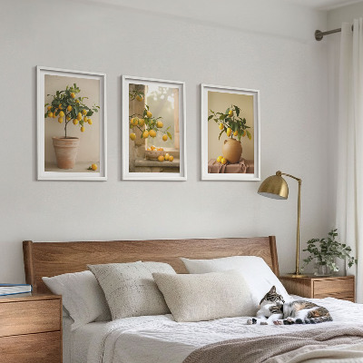 Set tablouri decorative Lămâi în ghivece
