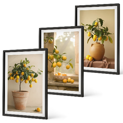 Set tablouri decorative Lămâi în ghivece