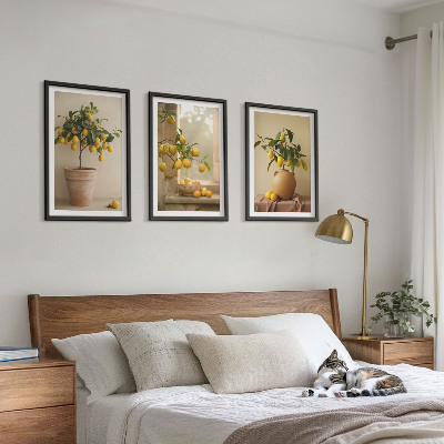 Set tablouri decorative Lămâi în ghivece