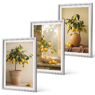 Set tablouri decorative Lămâi în ghivece