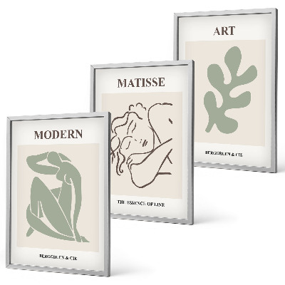 Set tablouri decorative Design elegant de personaje vegetale
