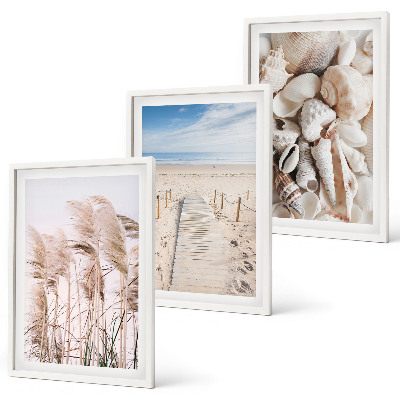 Set tablouri decorative Scoici de plajă, iarbă de mare