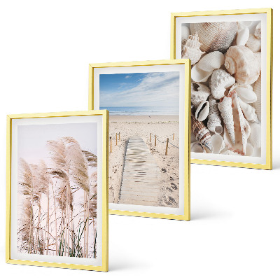 Set tablouri decorative Scoici de plajă, iarbă de mare