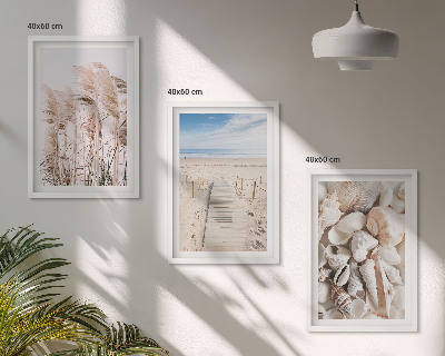 Set tablouri decorative Scoici de plajă, iarbă de mare