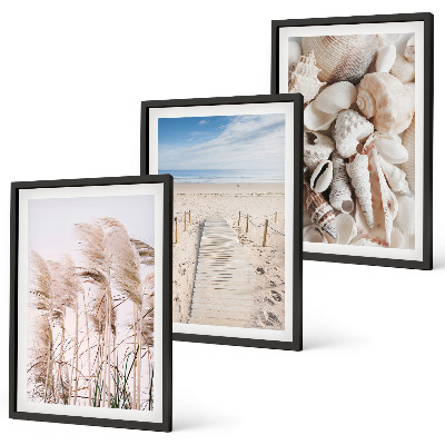 Set tablouri decorative Scoici de plajă, iarbă de mare