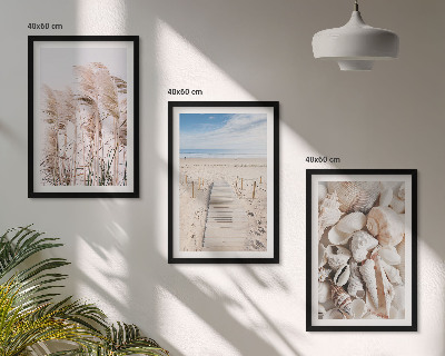 Set tablouri decorative Scoici de plajă, iarbă de mare