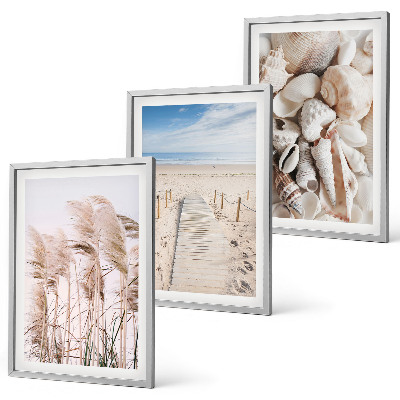 Set tablouri decorative Scoici de plajă, iarbă de mare