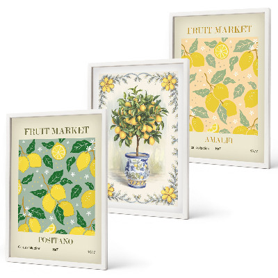 Set tablouri decorative Fructe de citrice Italia