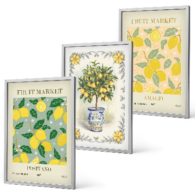 Set tablouri decorative Fructe de citrice Italia