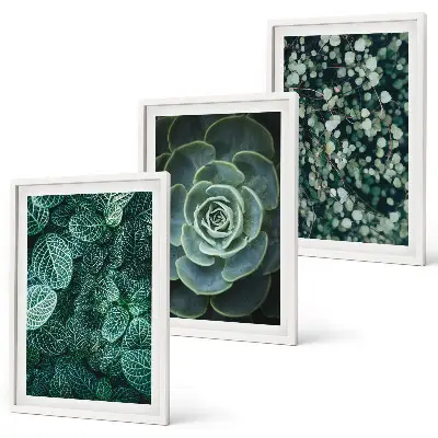 Set tablouri pentru dormitor cu model suculente