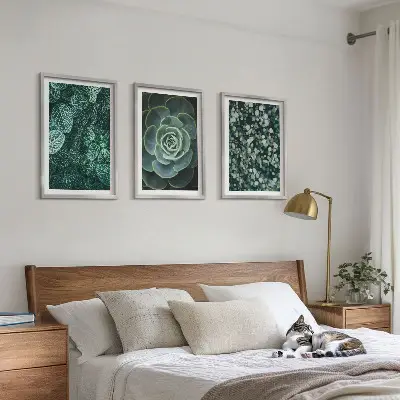 Set tablouri pentru dormitor cu model suculente