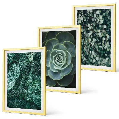 Set tablouri pentru dormitor cu model suculente