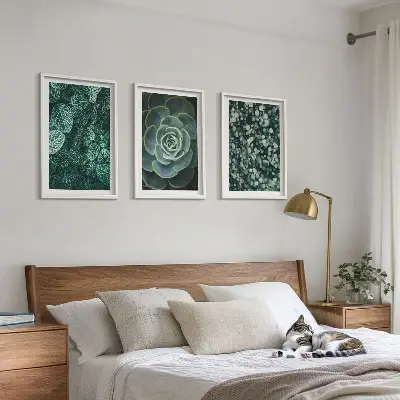Set tablouri pentru dormitor cu model suculente