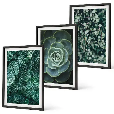 Set tablouri pentru dormitor cu model suculente