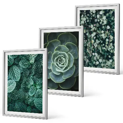 Set tablouri pentru dormitor cu model suculente