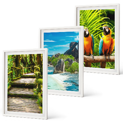 Set tablouri pentru dormitor Cascadă de papagali din pădurea tropicală