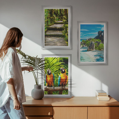 Set tablouri pentru dormitor Cascadă de papagali din pădurea tropicală