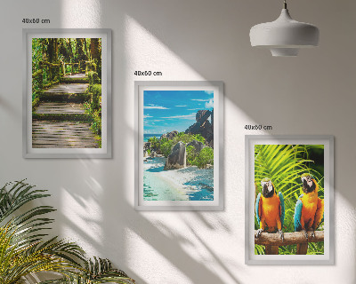 Set tablouri pentru dormitor Cascadă de papagali din pădurea tropicală