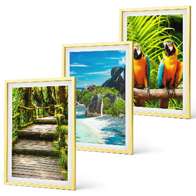 Set tablouri pentru dormitor Cascadă de papagali din pădurea tropicală