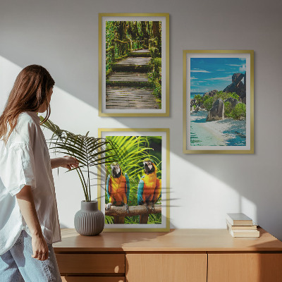 Set tablouri pentru dormitor Cascadă de papagali din pădurea tropicală