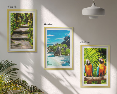 Set tablouri pentru dormitor Cascadă de papagali din pădurea tropicală