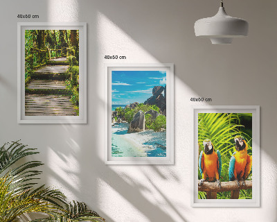 Set tablouri pentru dormitor Cascadă de papagali din pădurea tropicală