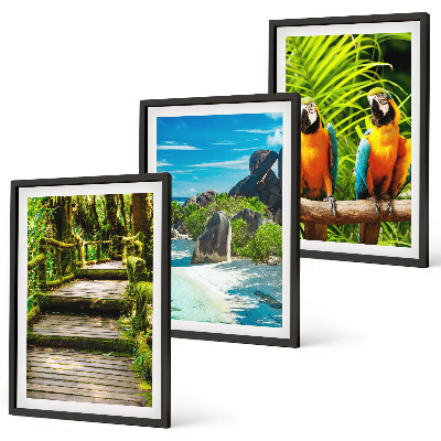 Set tablouri pentru dormitor Cascadă de papagali din pădurea tropicală