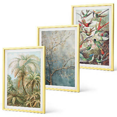 Set tablouri decorative Plante tropicale păsări natură