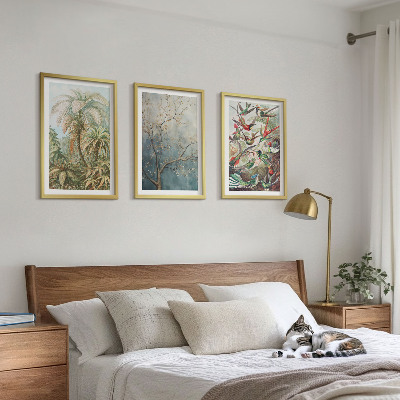 Set tablouri decorative Plante tropicale păsări natură