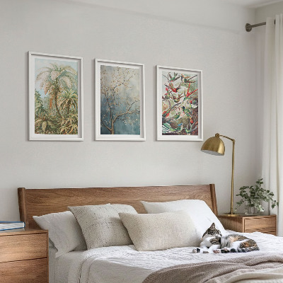 Set tablouri decorative Plante tropicale păsări natură