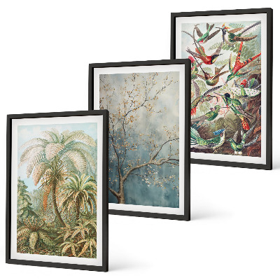 Set tablouri decorative Plante tropicale păsări natură
