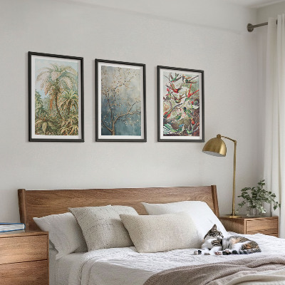 Set tablouri decorative Plante tropicale păsări natură