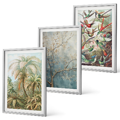 Set tablouri decorative Plante tropicale păsări natură