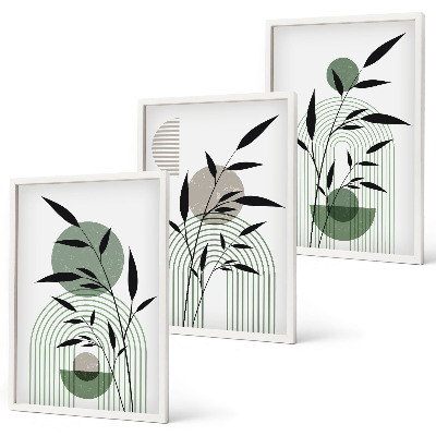 Set tablouri decorative Compoziții de plante Boho