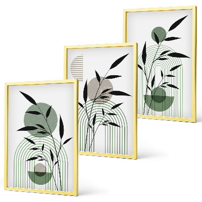Set tablouri decorative Compoziții de plante Boho