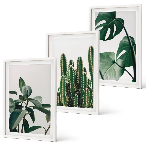 Set tablouri decorative Plante estetice tropicale