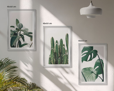 Set tablouri decorative Plante estetice tropicale