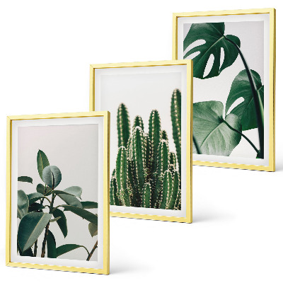 Set tablouri decorative Plante estetice tropicale