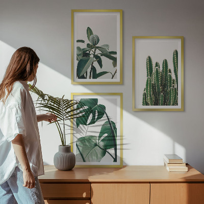 Set tablouri decorative Plante estetice tropicale