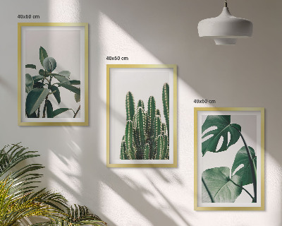 Set tablouri decorative Plante estetice tropicale