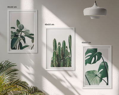 Set tablouri decorative Plante estetice tropicale