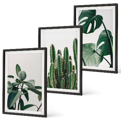 Set tablouri decorative Plante estetice tropicale