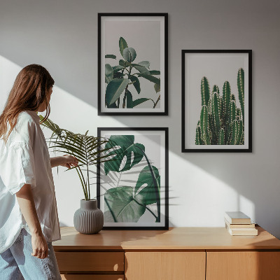 Set tablouri decorative Plante estetice tropicale