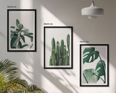 Set tablouri decorative Plante estetice tropicale