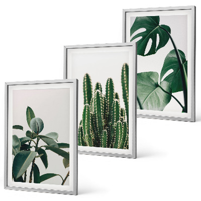 Set tablouri decorative Plante estetice tropicale
